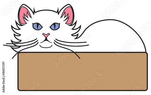 A white cat is lying in bed staring at an intruder