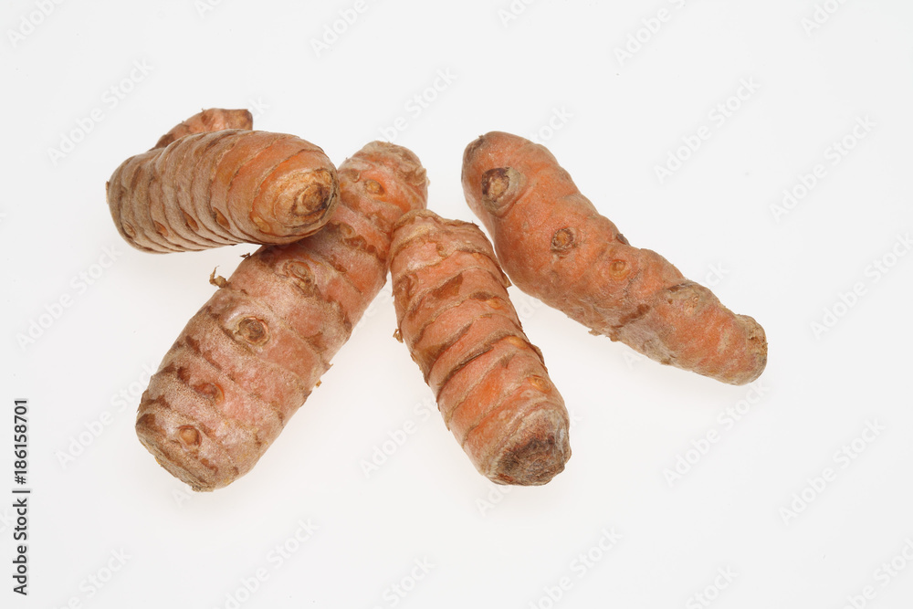 Wurzel von Kurkuma oder Gelbwurz, Curcuma domestica, Gewürz und Heilpflanze Wurzel von Kurkuma oder Gelbwurz, Curcuma domestica, Gewürz und Heilpflanze