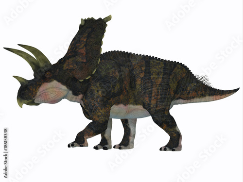 Bravoceratops Dinosaur Side Profile - Bravoceratops was a herbivorous ceratopsian dinosaur that lived in Texas, USA in the Cretaceous period. © Catmando