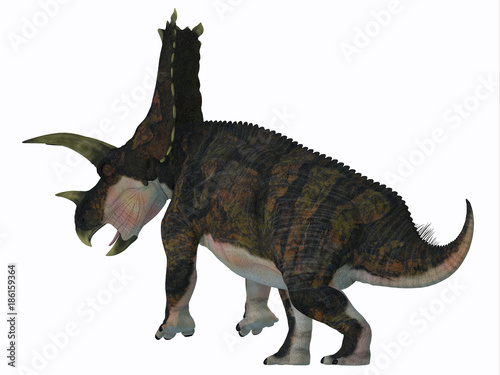 Bravoceratops Dinosaur Tail - Bravoceratops was a herbivorous ceratopsian dinosaur that lived in Texas  USA in the Cretaceous period.