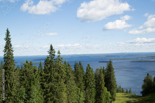 Järvi maisema Kolilta, lake landscape on the mountain Koli, summer 