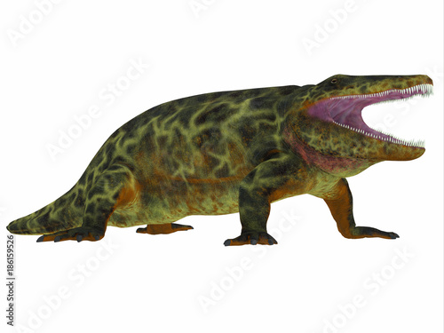 Eryops Dinosaur Side Profile - Eryops was an semi-aquatic ambush predator much like the modern crocodile and lived in Texas, New Mexico and the Eastern USA in the Permian Period. © Catmando