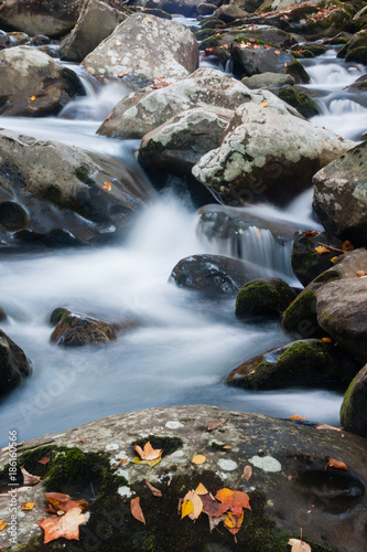 Pigeon Creek in Great Smoky National Park in the fall.