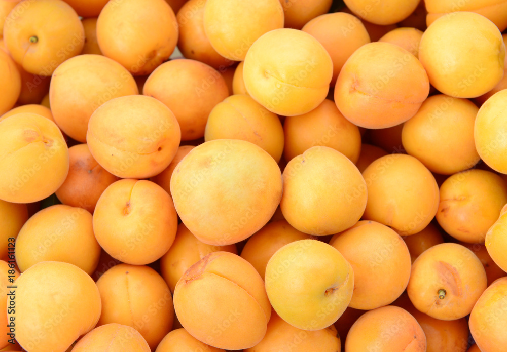 Many ripe apricots, close-up