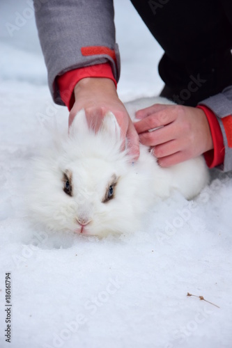 Weißes Kaninchen sitzt mit Kind im Schnee