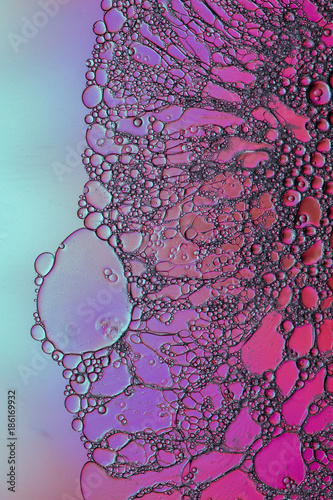 Pink to blue oil and water