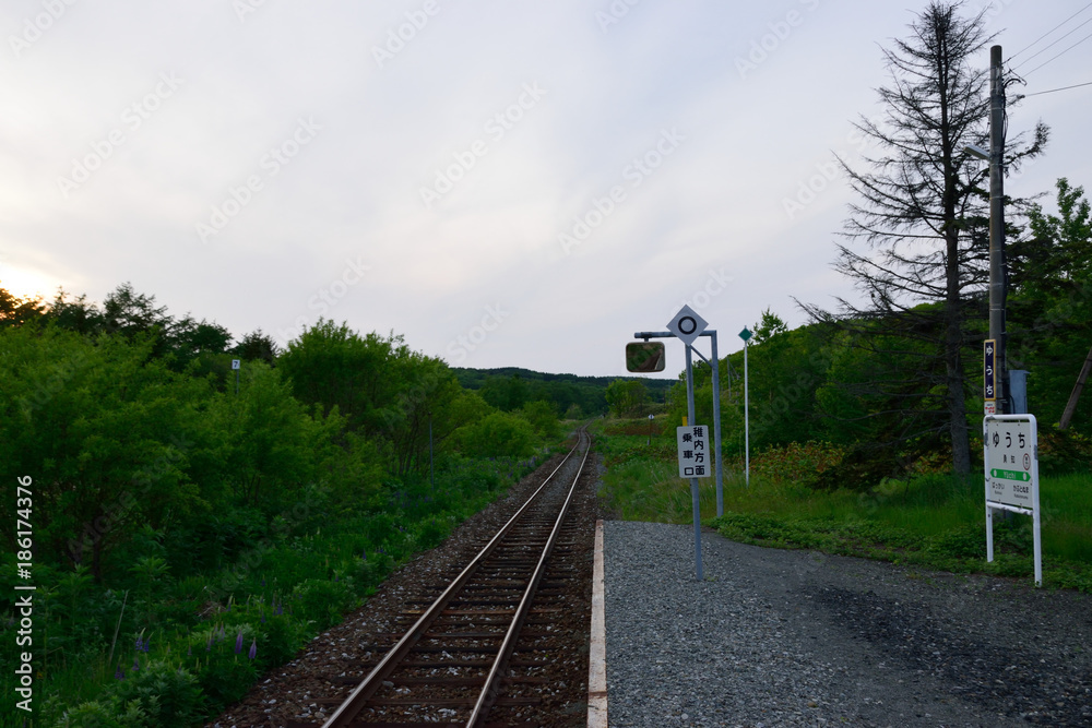 Fototapeta premium ローカル線の駅