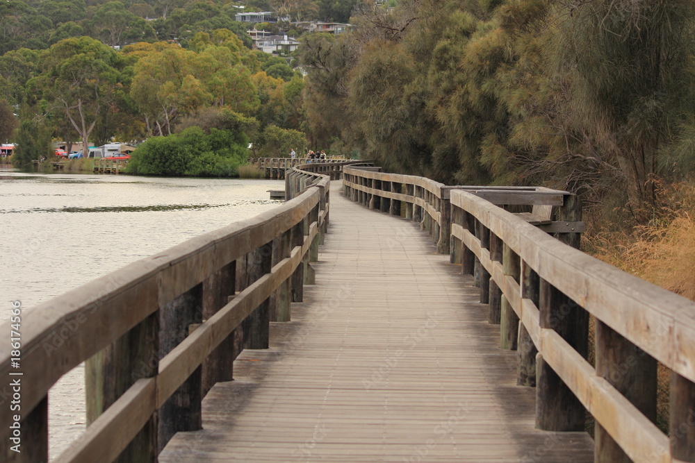 Footpath and bridge
