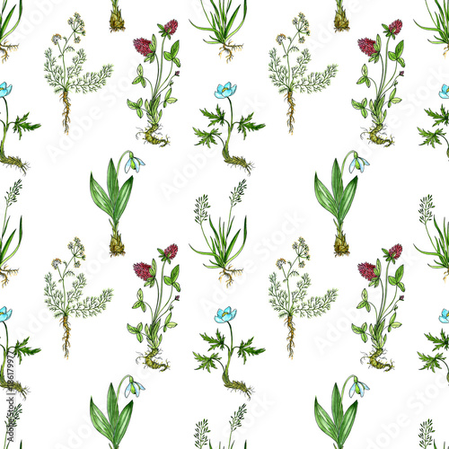 seamless pattern with drawing plants