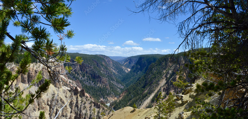 Canyon Postcard Canyon Postcard