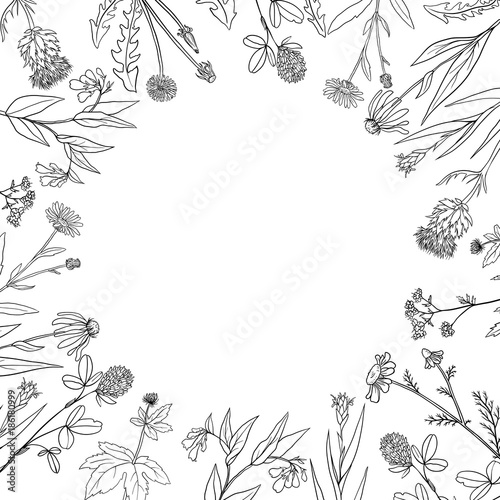 vector round frame with medical plants