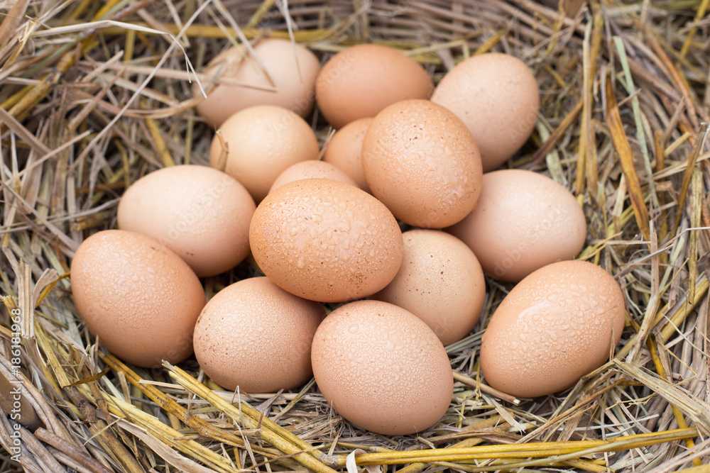 Eggs in a basket are placed on the straw. Eggs in a basket are placed on the straw.
