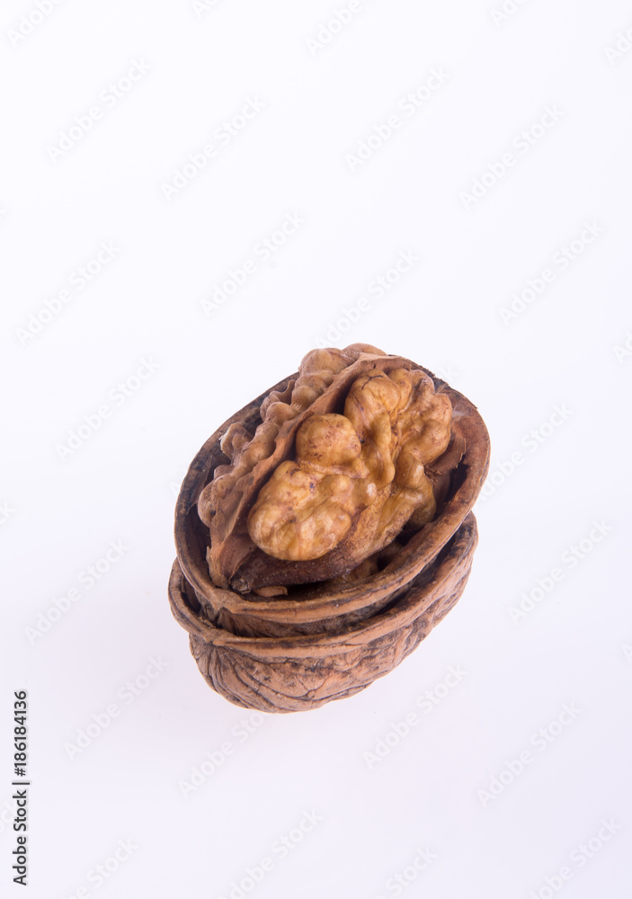 nut. walnut on the background nut. walnut on the background
