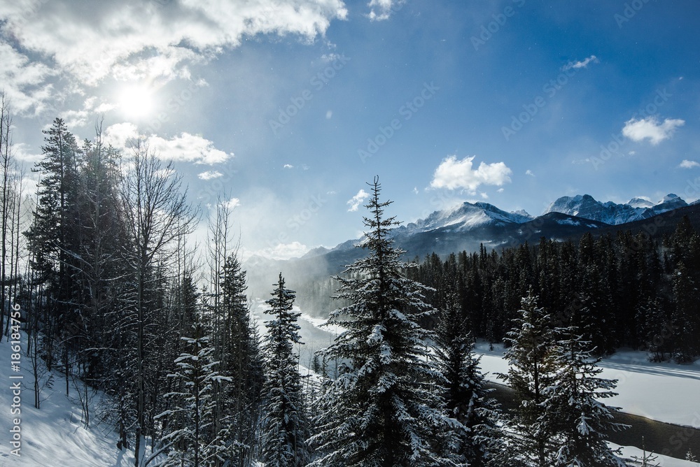 Canadian Rockies train and snowy mountan view in Winter