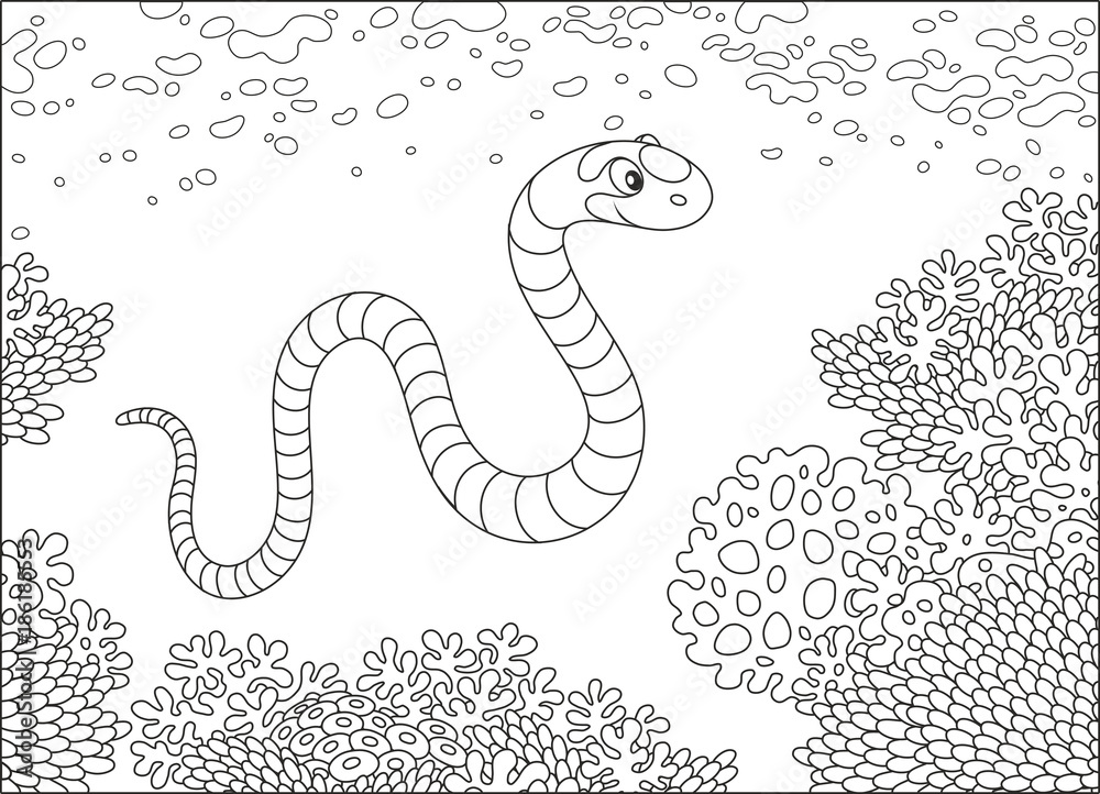 Striped sea snake swimming over a coral reef in a tropical sea, a black and  white vector illustration in cartoon style for a coloring book Stock Vector  | Adobe Stock