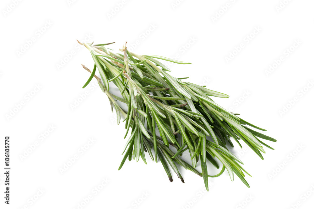 rosemary isolated on white rosemary isolated on white