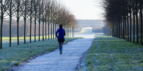 Sierkussen Joggen Park van Versailles in Frankrijk  © P.Lack