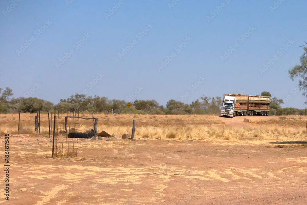 Road train loaded with cattle arrives at a rest area near Boulia in Outback Queensland Road train loaded with cattle arrives at a rest area near Boulia in Outback Queensland