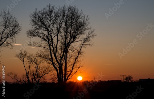 Sonne im Dezember