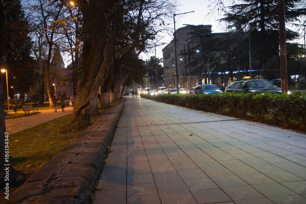 Obraz premium Night scene of city road in Kutaisi. City night park in autumn with paths strewn