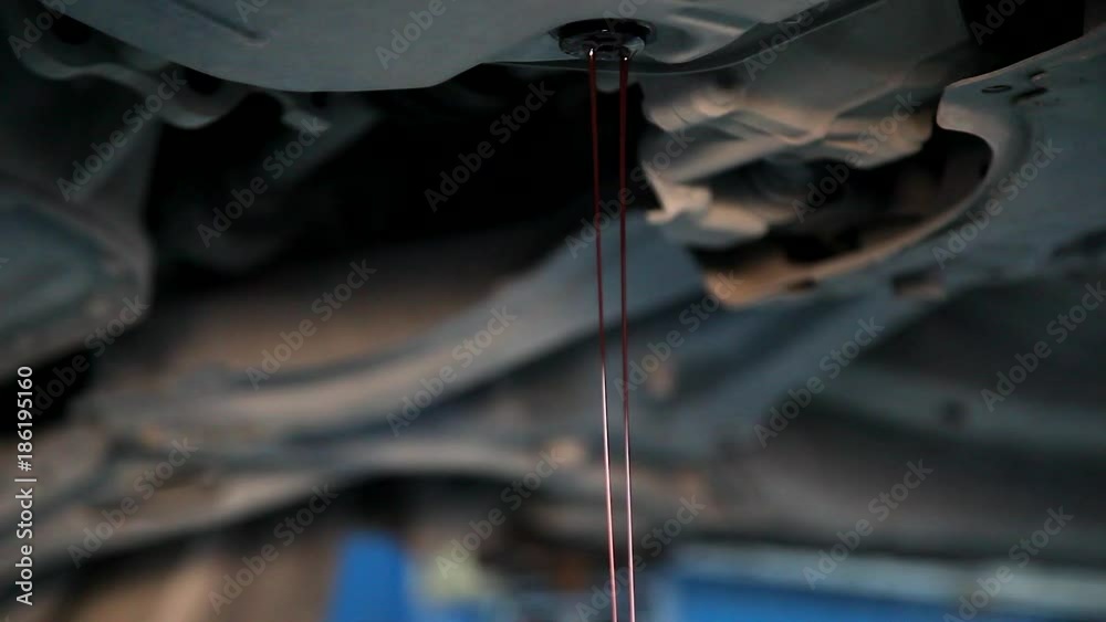 Auto Mechanic Draining Old Gear Oil Transaxle Underneath the Car Lift at the Garage
