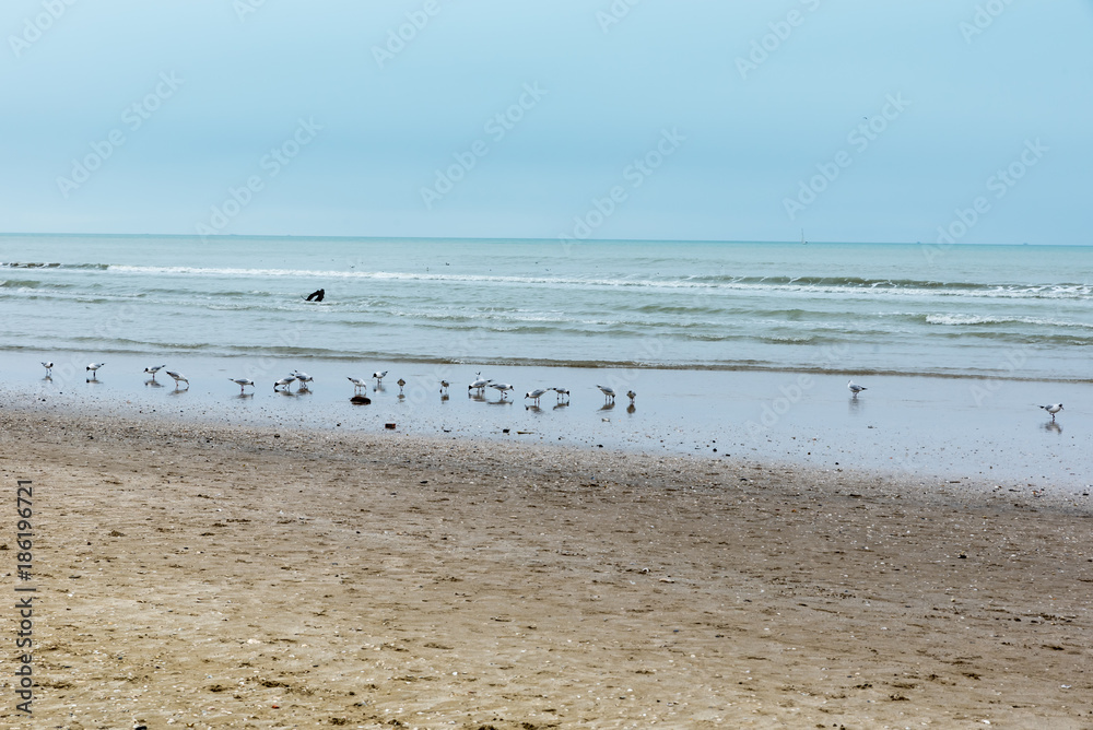 Fototapeta premium Rimini beach in winter