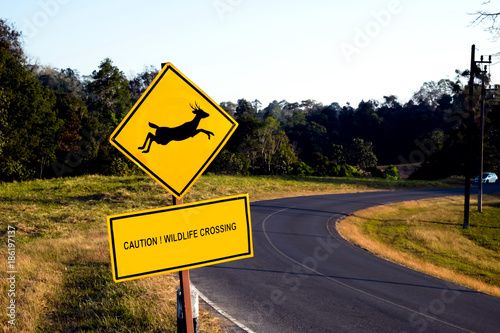 Fototapeta Naklejka Na Ścianę i Meble -  Beware deer crossing the road sign isolated on blue sky