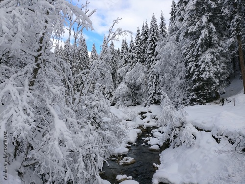 Fototapeta creek Winter wonderland in the alps with snow and conifers