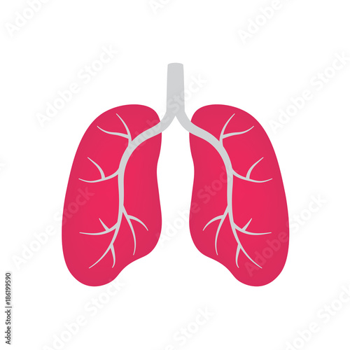 lungs icon- vector illustration