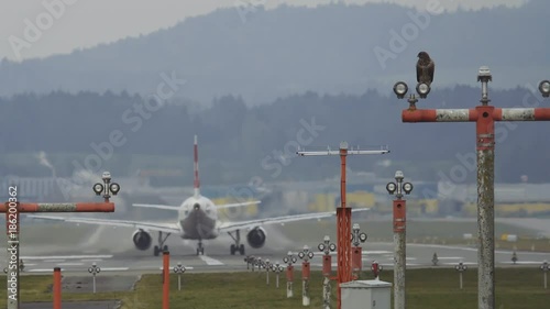 Airplane Driving On Airfield At Zurich Airport With A Mice Buzzard Sitting Emotionless On A Lamp Pole In The Foreground photo