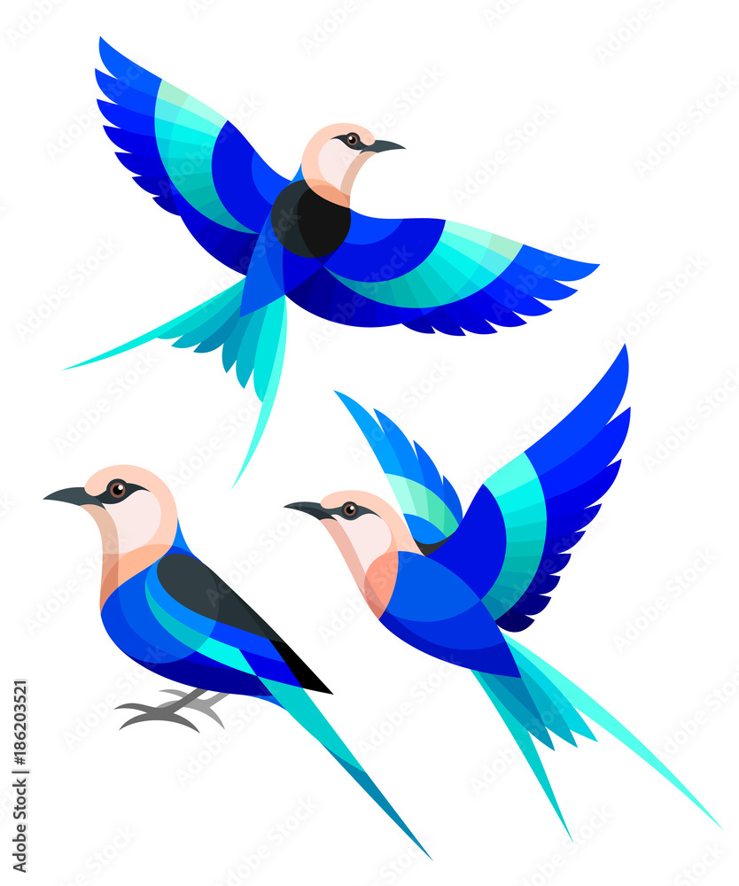 Obraz premium Stylized Birds - Blue-bellied Roller