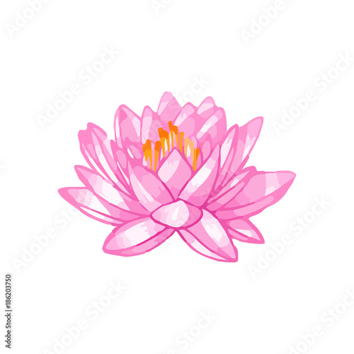 Colorful hand drawn vector lilies. watercolor floral design.