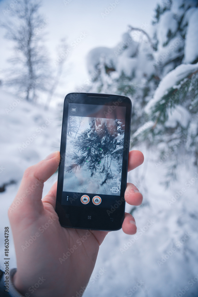 Traveler photographs a smartphone winter snowy forest.