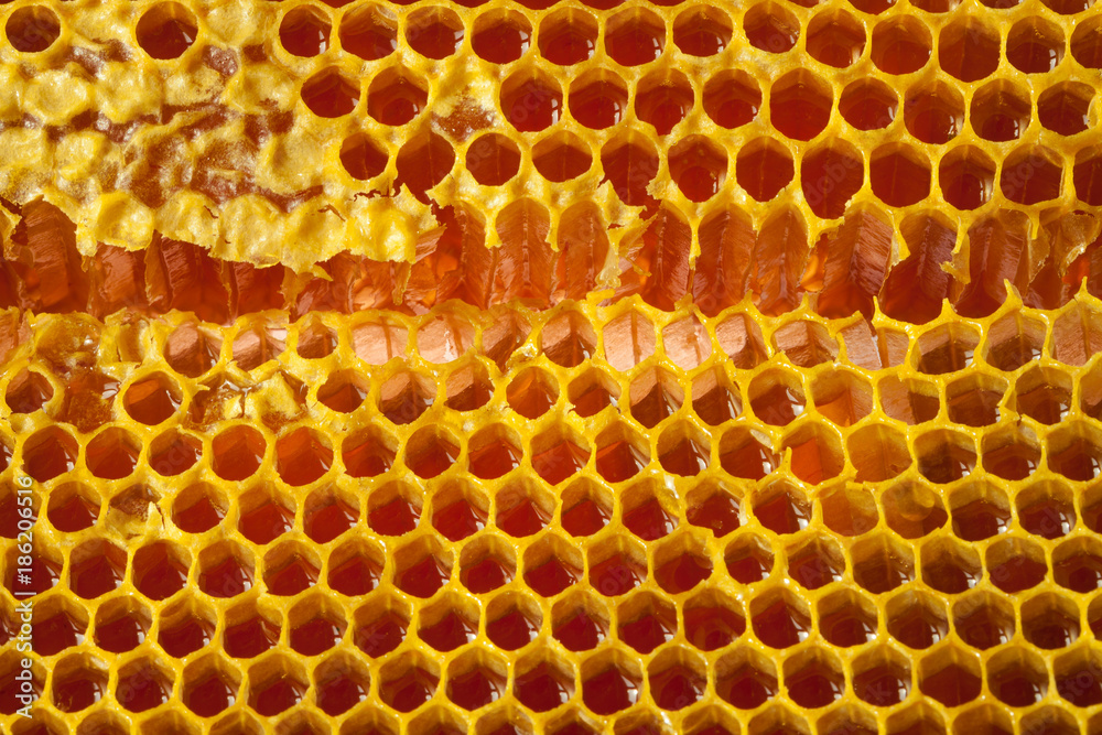 Wellbeing and healthy food series - Close up of fresh honey in a comb Wellbeing and healthy food series - Close up of fresh honey in a comb