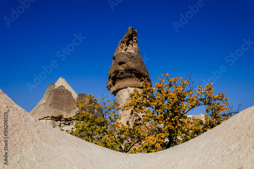 Cappadocia, Turkey. Fairy Chimney. Multihead stone mushrooms in the Valley of the Monks. Pasabag Valley photo