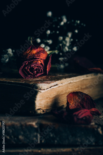 Dried roses and old book on dark background photo