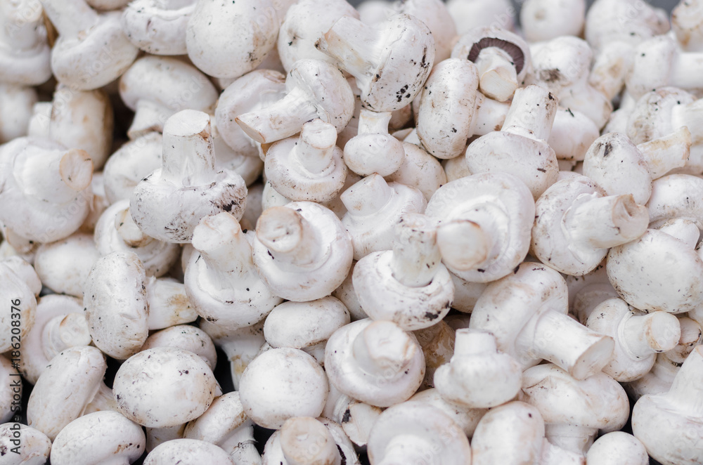 Pile of fresh mushrooms at farmers market. Pile of fresh mushrooms at farmers market.