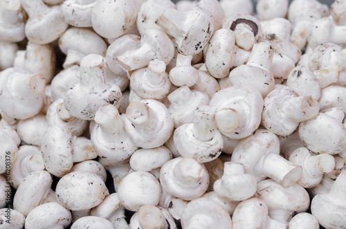 Pile of fresh mushrooms at farmers market.