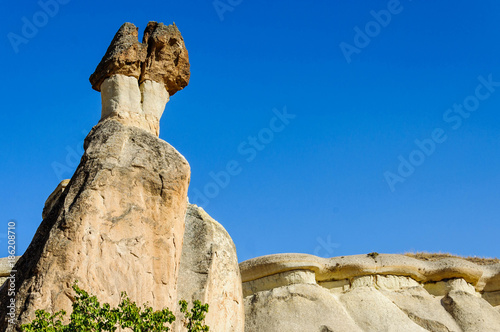 Cappadocia, Turkey. Fairy Chimney. Multihead stone mushrooms in the Valley of the Monks. Pasabag Valley