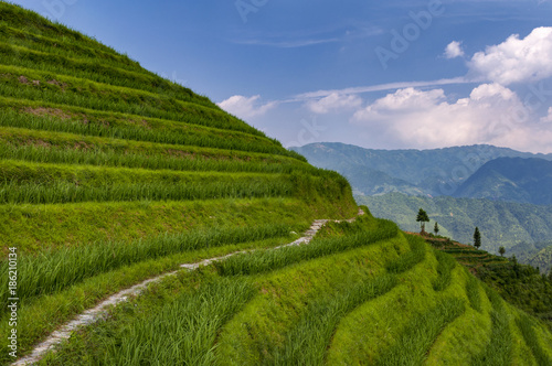 Beautiful view Longsheng Rice Terraces near the of the Dazhai village in the province of Guangxi, China  Concept for travel in China © Tiago Fernandez