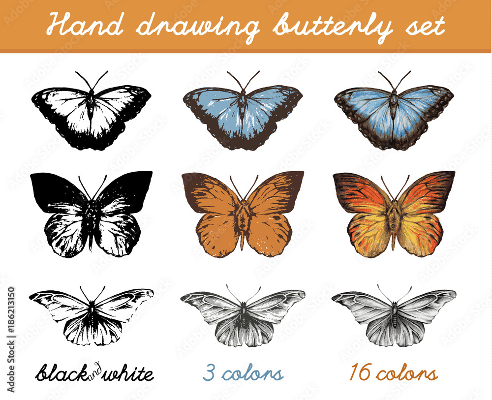Hand drawing butterflies set icons. Vector illustration. 