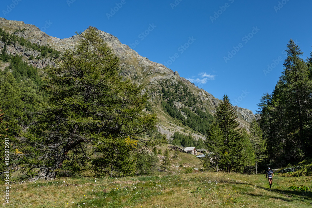 Obraz premium Beautiful landscape in Oberloo valley, aosta italy