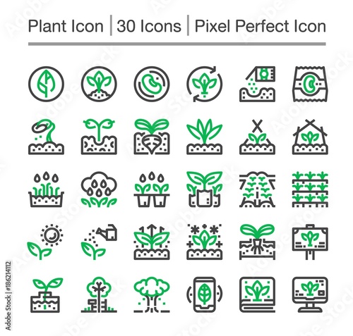 plant line icon,editable stroke,pixel perfect icon