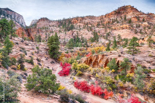 Autumn in Zion National Park, Utah