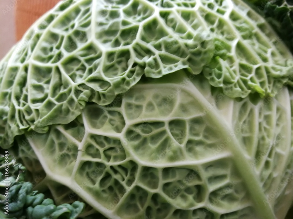 Fototapeta premium exuberant cabbage on wood