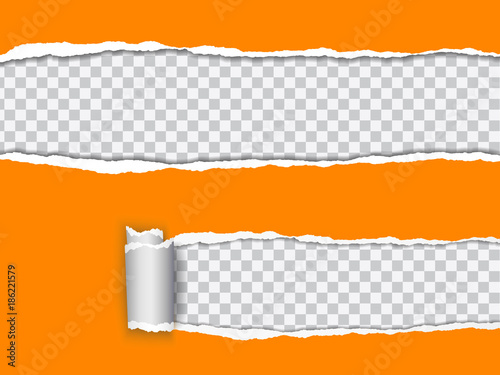 Set vector realistic illustration of orange torn paper with rolled edge on transparent background