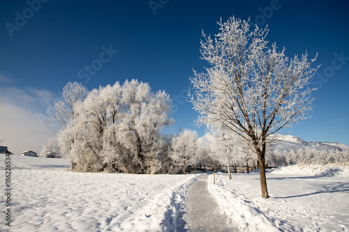 Spazierweg im Winter, Schnee und gefrorene Bäume