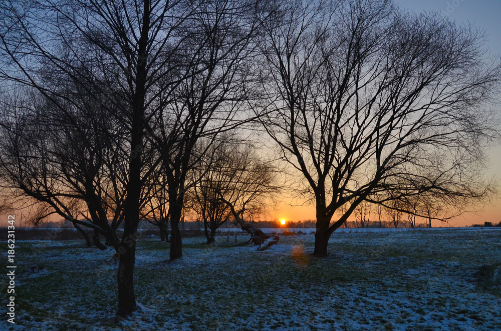 Landscape with trees on during winter sunset