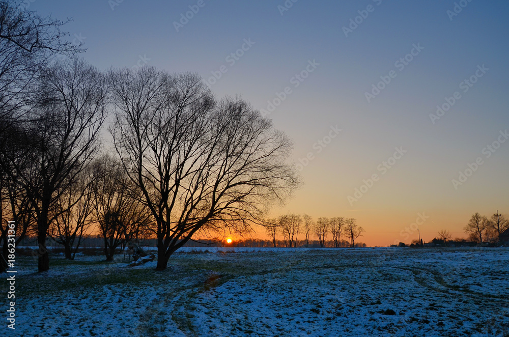 Landscape with trees on during winter sunset
