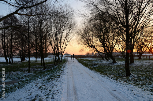Landscape with trees on during winter sunset